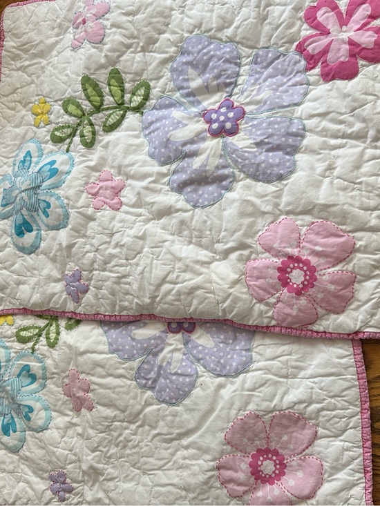 Pottery Barn Kids Other - Pottery barn pillow shams - Multicolor appliquéd  spring flowers (2)